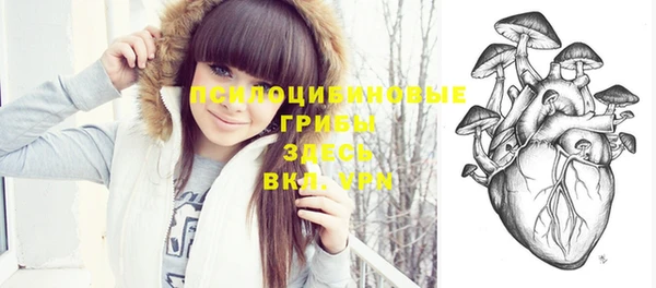 прущие грибы Верея