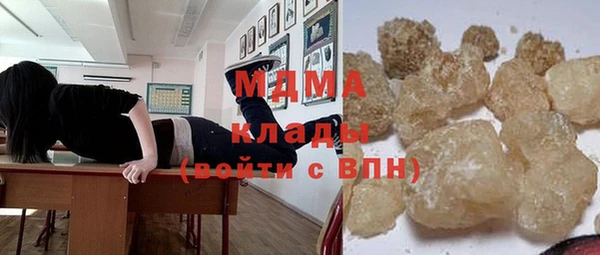прущие грибы Верея