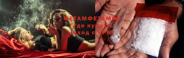 прущие грибы Верея