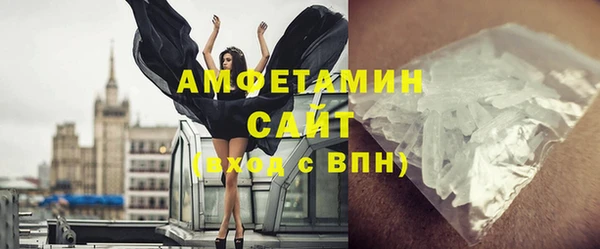 прущие грибы Верея