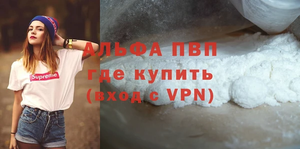 прущие грибы Верея
