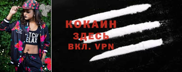 прущие грибы Верея