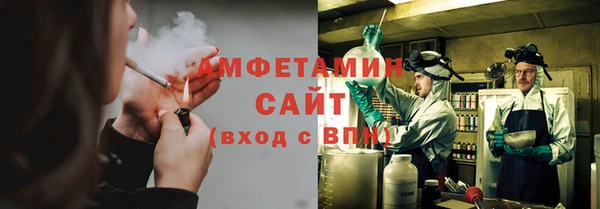 прущие грибы Верея