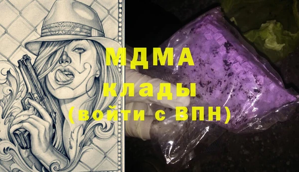 прущие грибы Верея