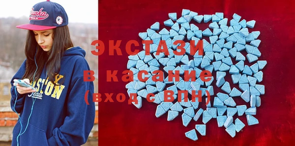 прущие грибы Верея