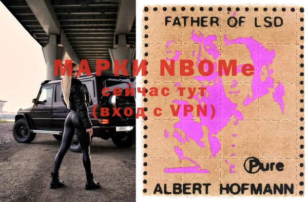 прущие грибы Верея