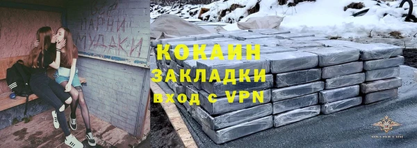 прущие грибы Верея