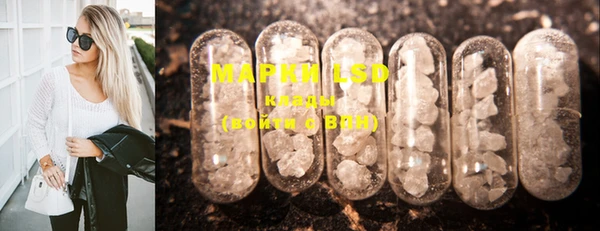 прущие грибы Верея