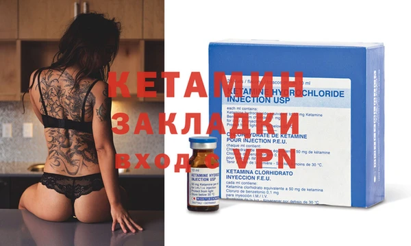 прущие грибы Верея